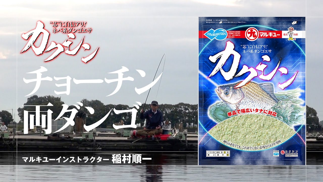 「カクシン」チョーチン両ダンゴ実釣編