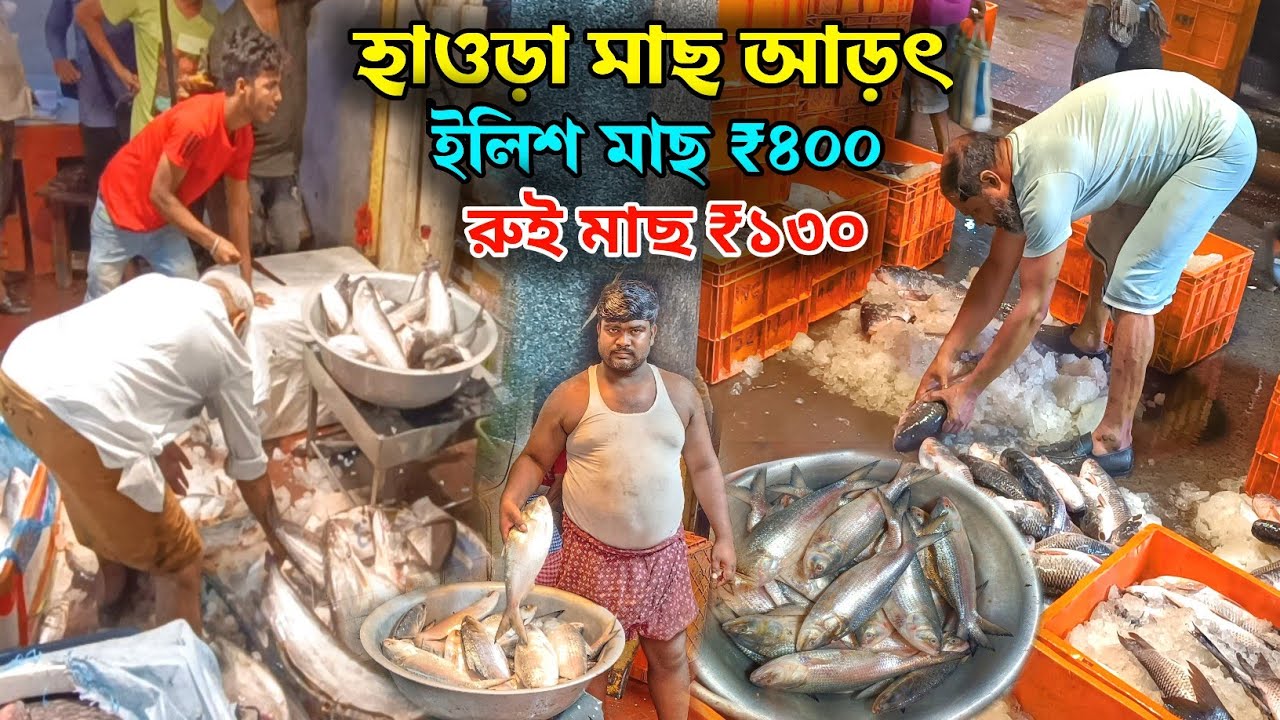 হাওড়া জেলার সবথেকে বড় আড়ৎ এখানে আপনি পাবেন জলের দামে ২ কেজি সমান ইলিশ মাছ ₹৮০০,রুই,কাতলা ₹১৩০