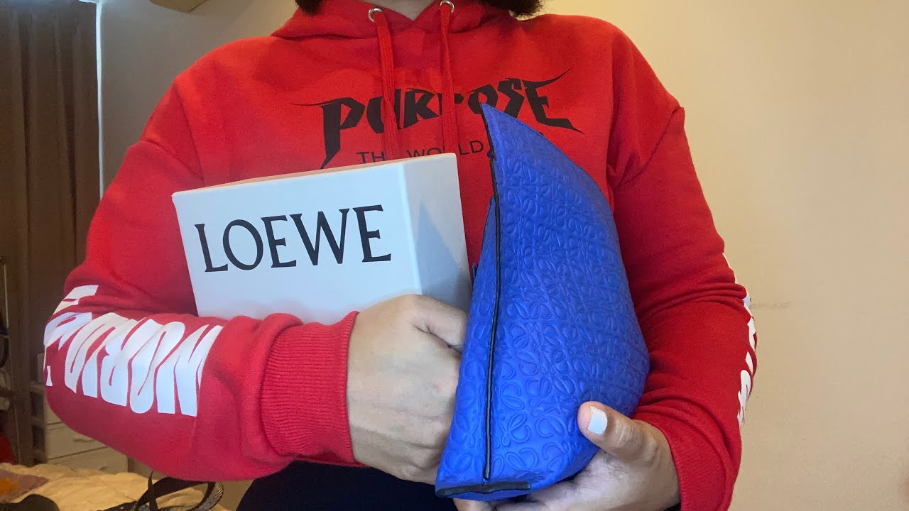 Haul: 2 Loewe items & Coach Pillow Tabby | KLIFESTYLE