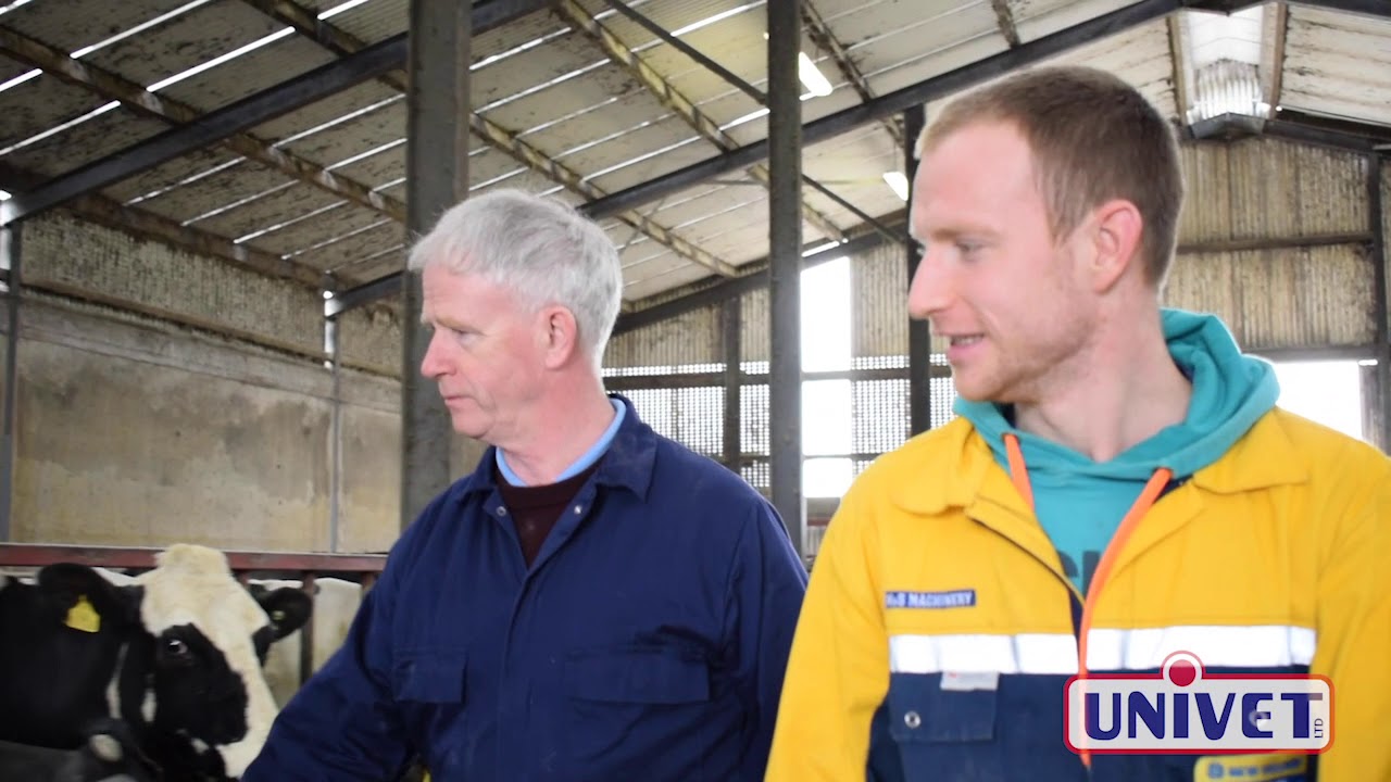 Combatting scour on this Cavan dairy farm