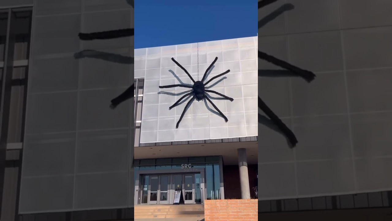 Spooky season on campus