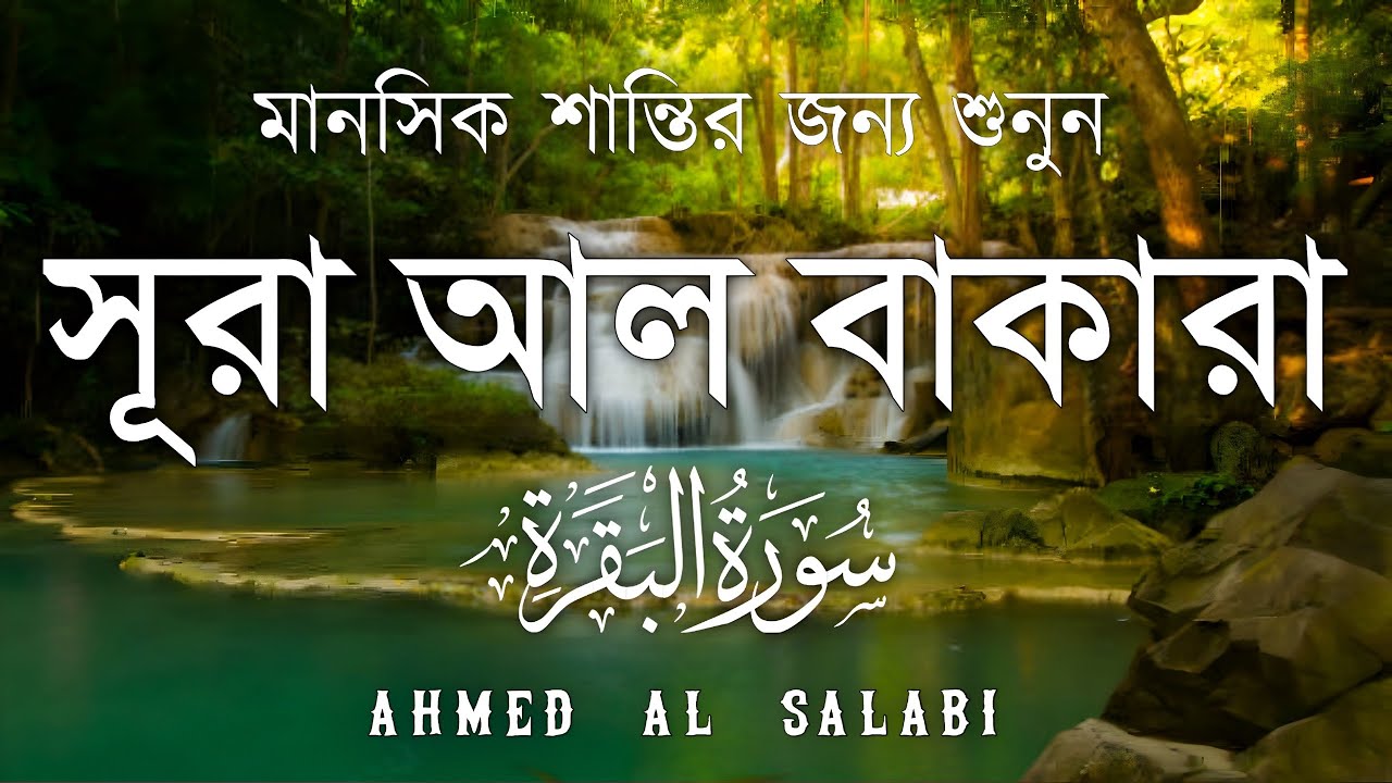 ঘরের উন্নতির জন্য সূরা বাকারা প্রতিদিন শুনুন I Surah Baqarah Full Quran Recitation | Ahmed Al Salabi