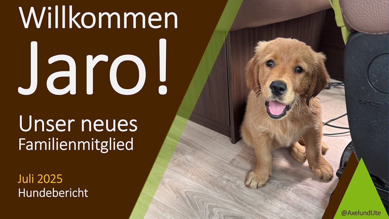 Unser Golden Retriever Welpen Mifeks Jaro ist endlich bei uns! | Erste Momente & Kennenlernen