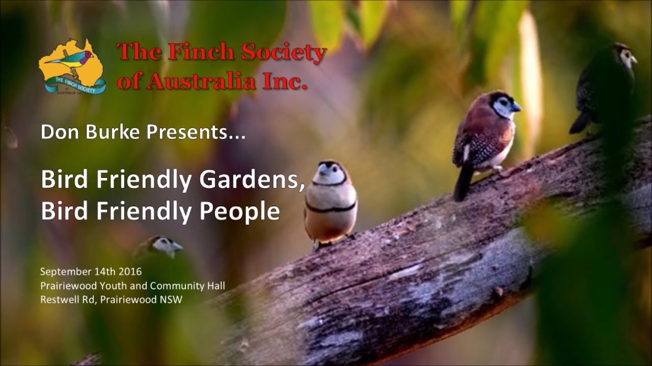 Bird Friendly Gardens, Bird Friendly People - Don Burke