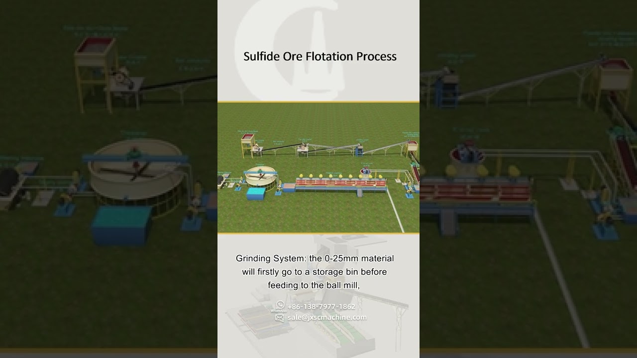Sulfide Ore Flotation Process