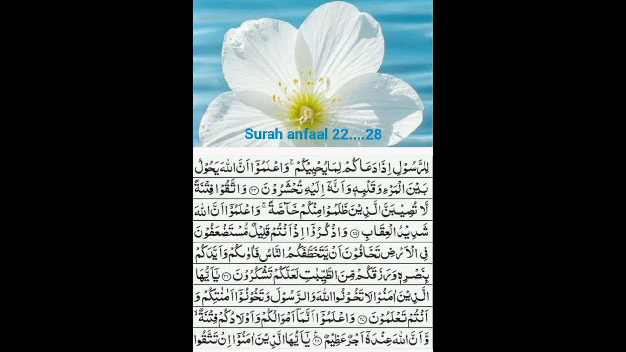 Surah anfaal ayah 22....28...the bigginners course...word to word translation with short tafseer 