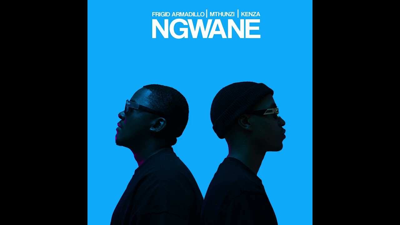 Frigid Armadillo. Mthunzi, kenza -  Ngwane (Official Audio)