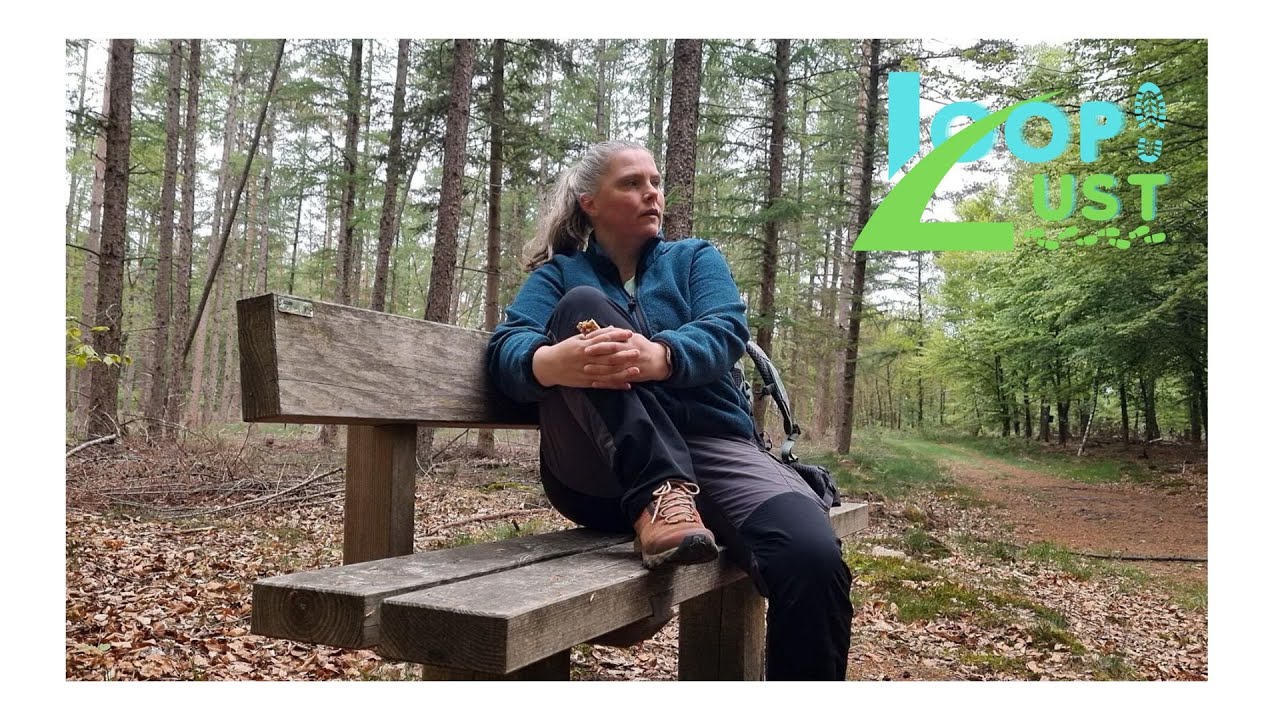 2025, Wandelvideo #4 Wandelroute Vossen in Boswachterij Kootwijk van Staatsbosbeheer