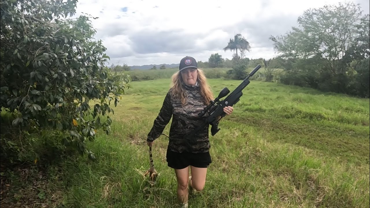 Our day-to-day life living on the north coast of Puerto Rico ￼