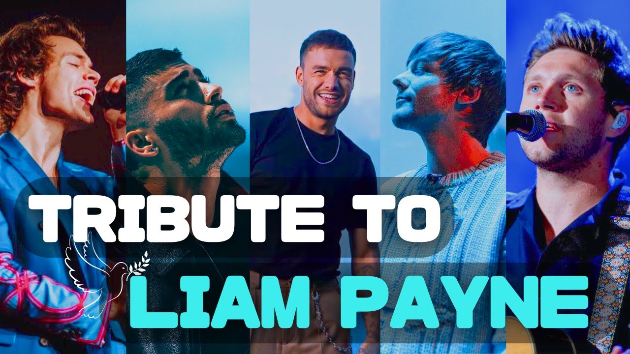 Tribute Mashup to Liam Payne (1993-2024) by Jungle Sue