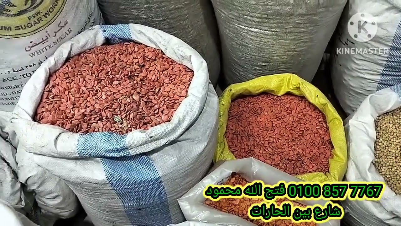 مشروع الأغنياء ارباح 12الف حنيه شهريا..في مصر وبس هيغير حياتك للابد ! #مشاريع أرباحه خاليه من البيت