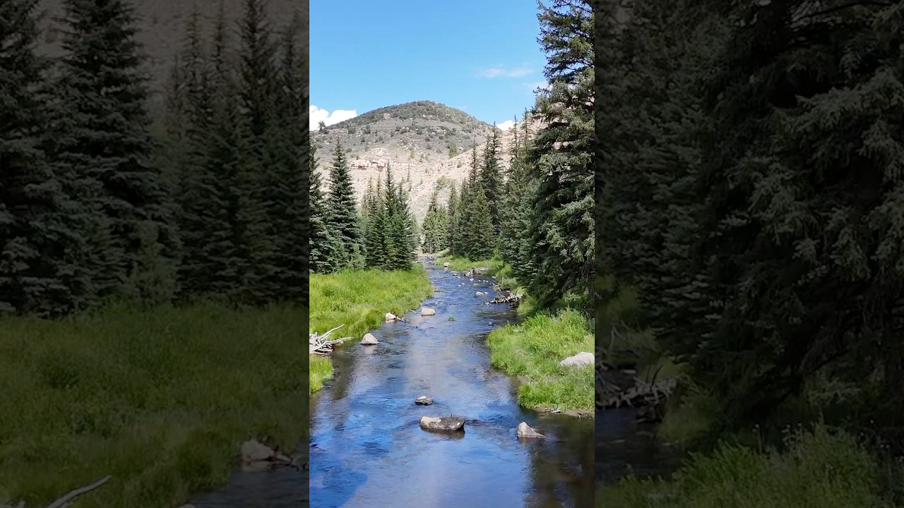 How To Plan an Epic Fly Fishing Trip