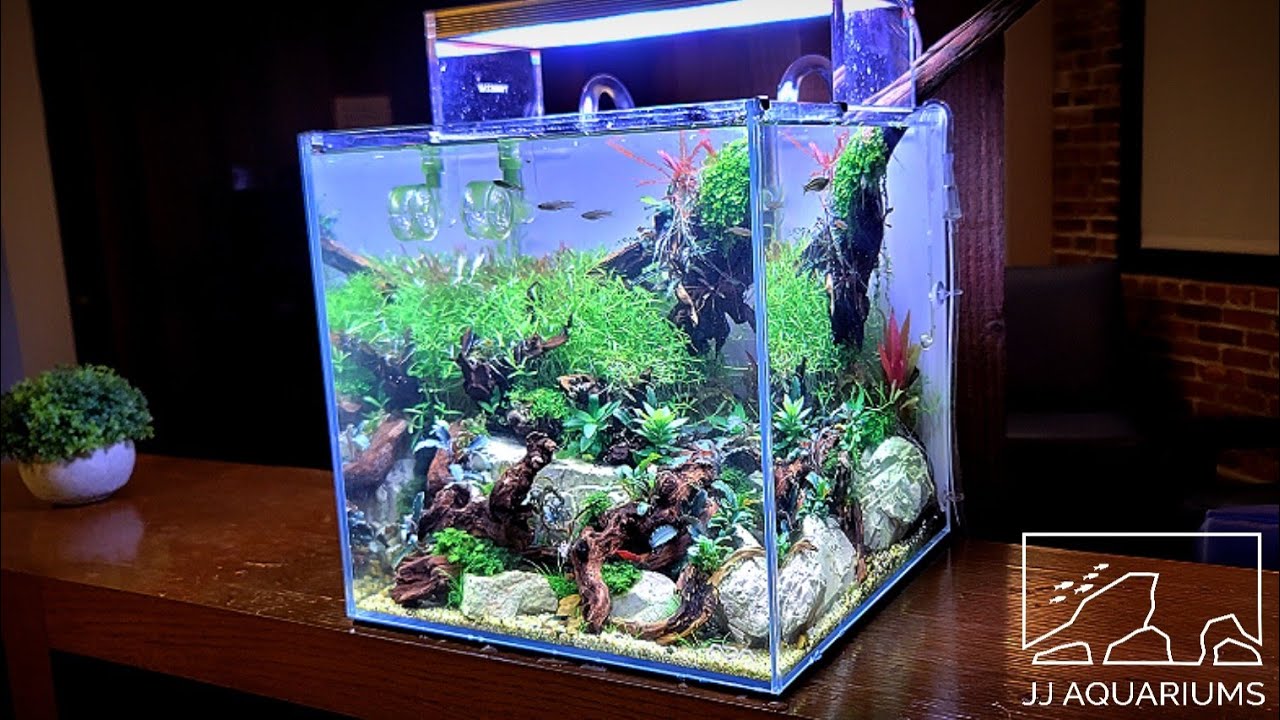 How I Equip My High Tech Nano Aquariums