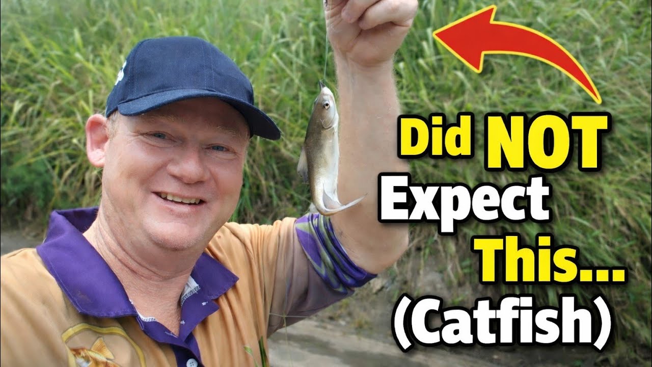 Рыбалка на сома в Брисбене 