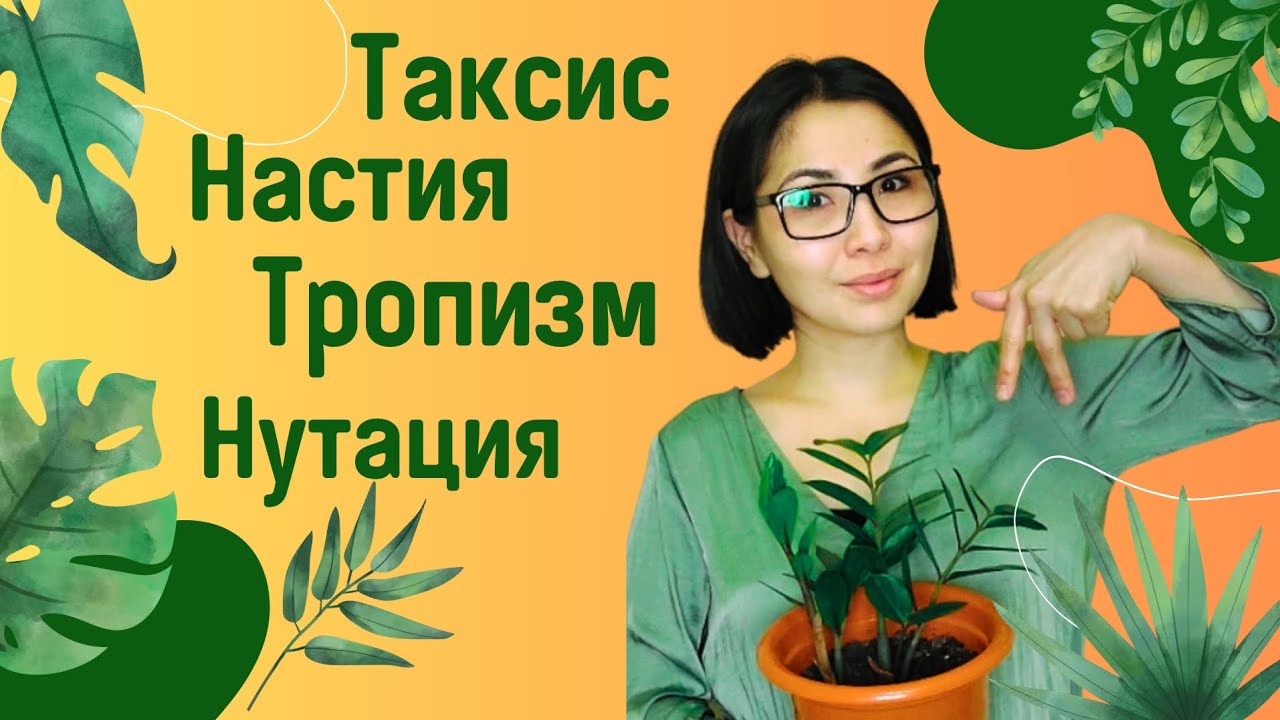 ҰБТ сұрақтары. Өсімдіктердің қозғалыстары. Движения растений. Тропизм.Таксис.Настия. Нутация.