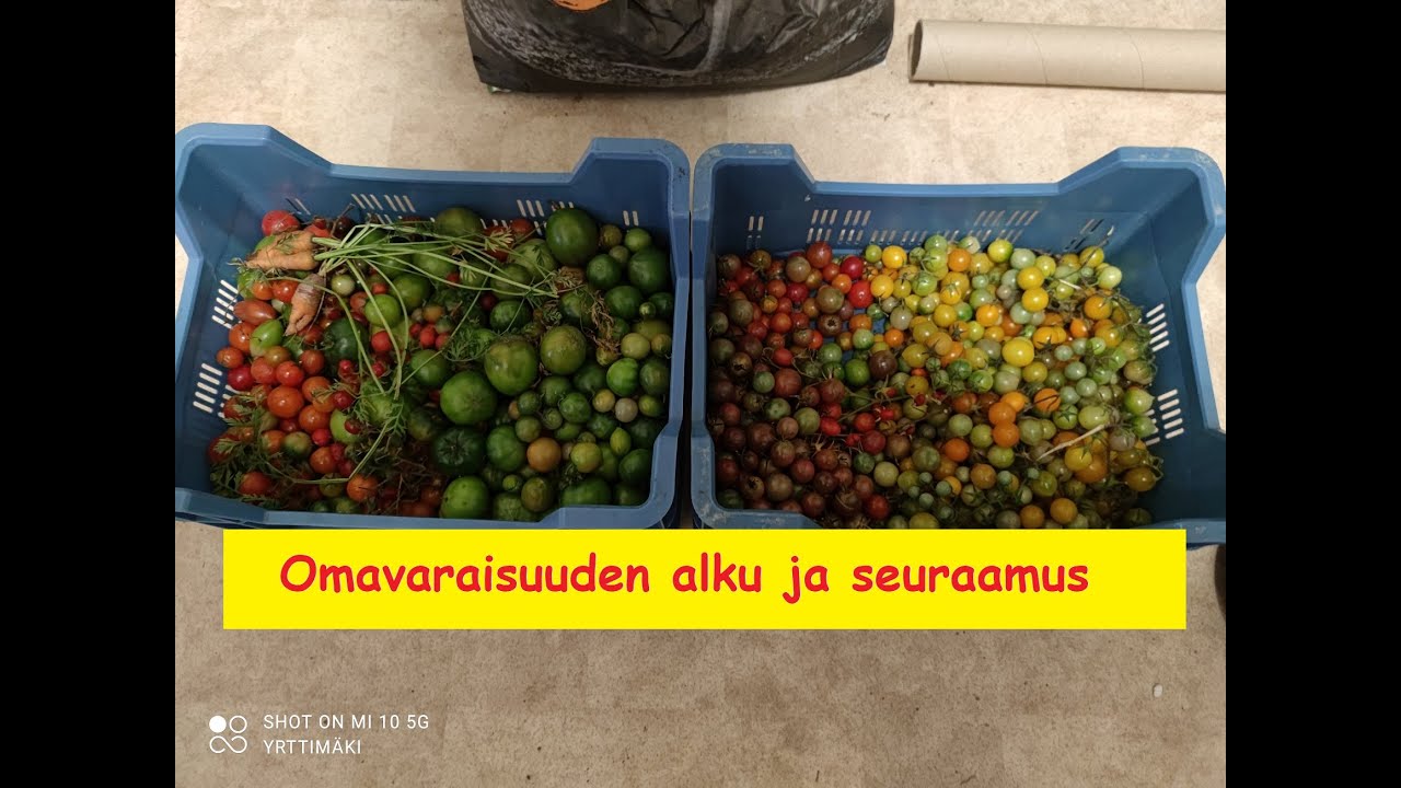 Mist&auml; omavaraisuus alkaa ja mihin se voi johtaa?