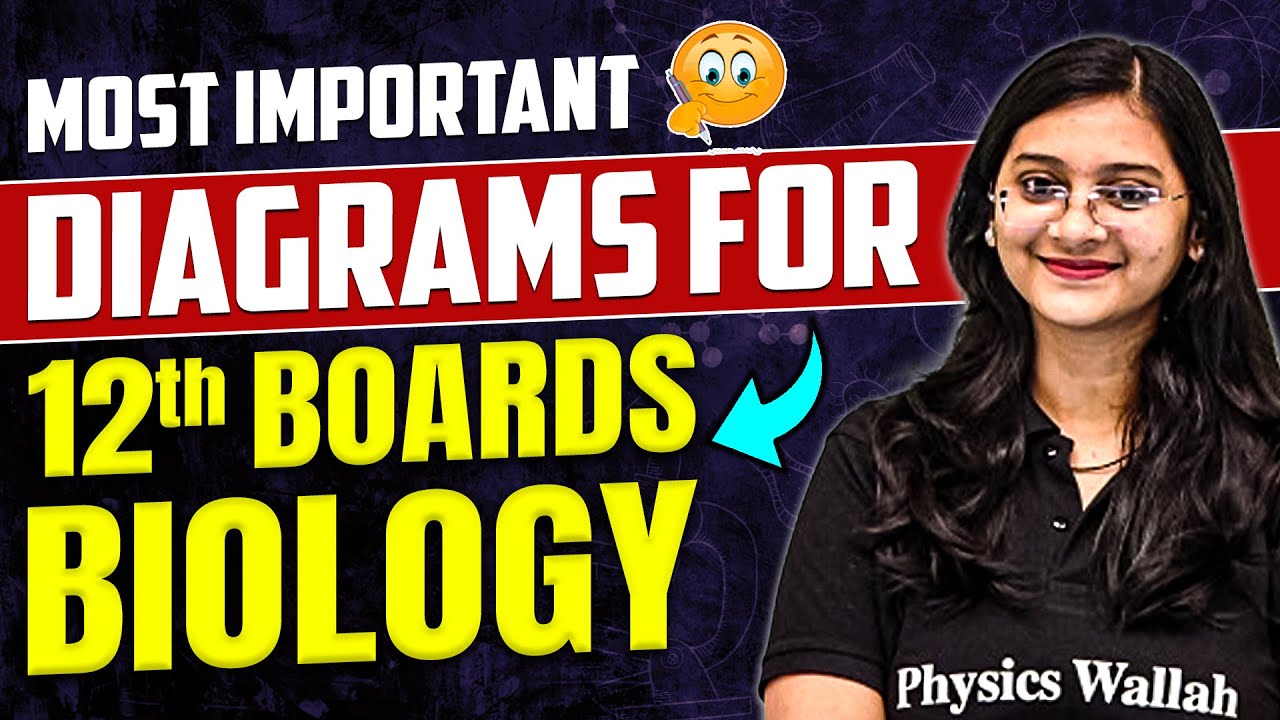Most Important Diagrams for 12th Boards Biology