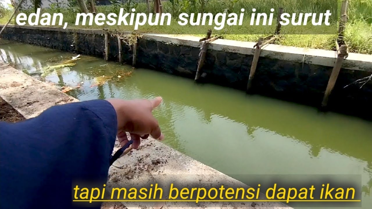 nekat mancing di sungai kecil ini walaupun masih tersisa genangan 🎣 