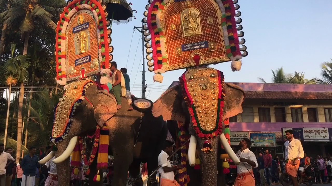 Elephants  in  Kollam Sakthikulangara ulsavam  2018