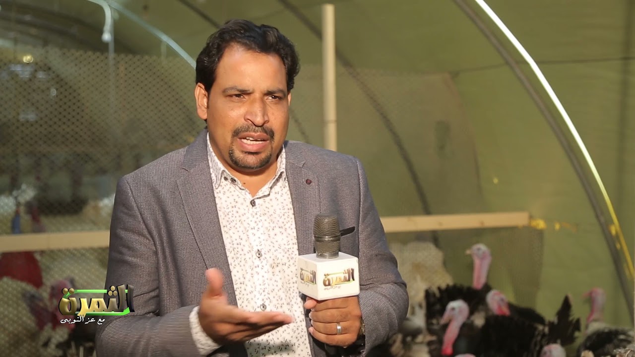 تعرف على مميزات مشروع تربية الرومي وكيفية تحقيق أعلى أرباح شهرية