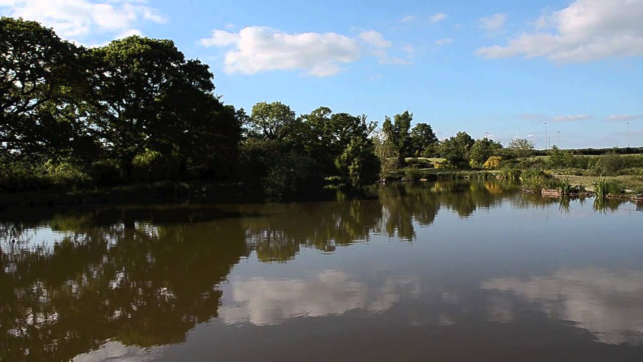 KIA ORA PONDS, CULLOMPTON, DEVON
