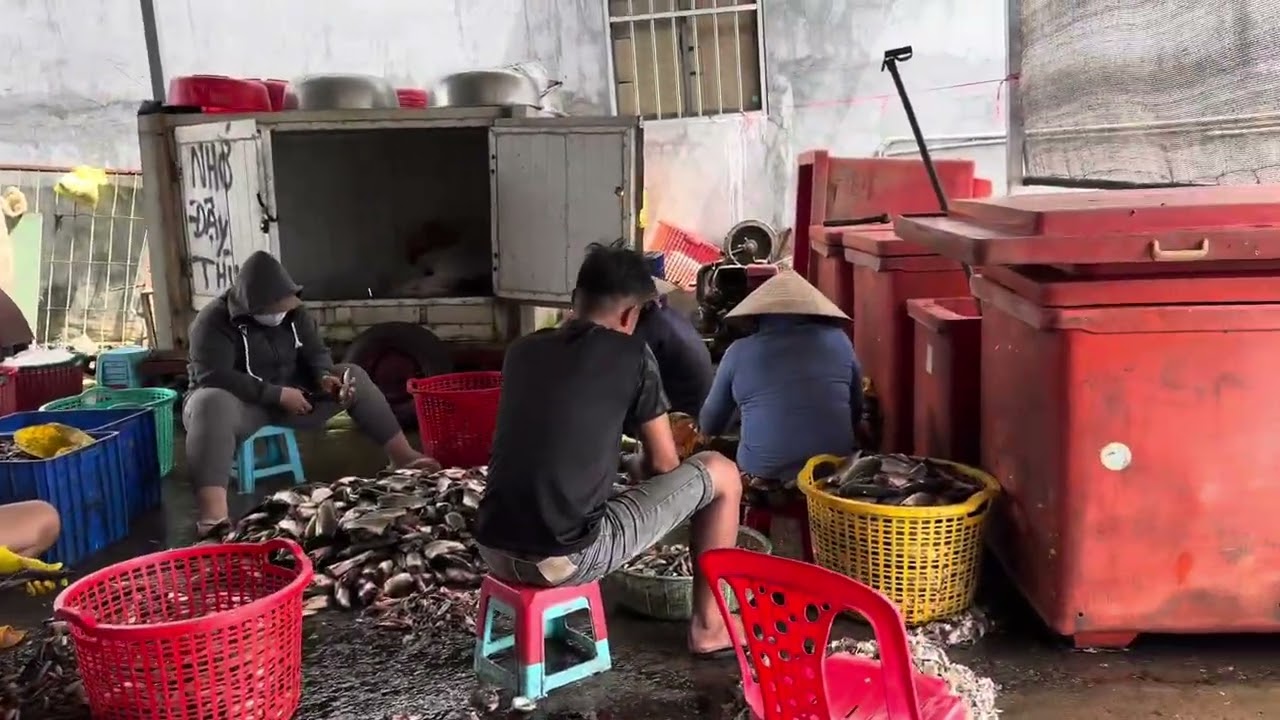 BẾN NÔM LÒNG HỒ TRỊ AN