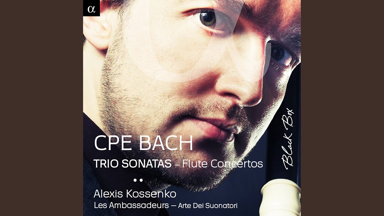 Trio Sonata in D Major, Wq. 151: II. Largo