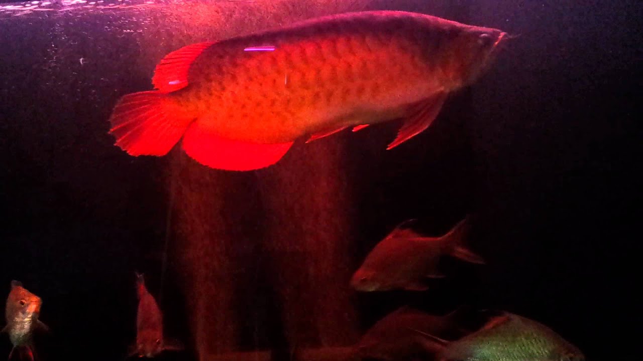 20120926 212207