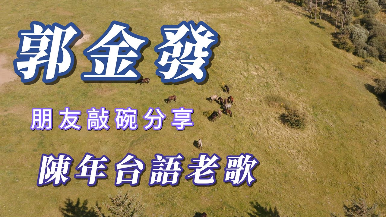 郭金發朋友敲碗分享）（陳年台語老歌）謝謝朋友😱😱😱😱