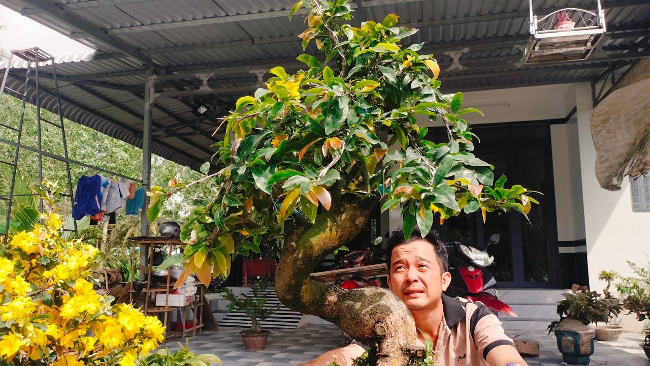 15/3/2026 bình lợi như ý đế đẹp lấy nhiều bo giá rẻ☎ 0939099607 Thúy Hằng