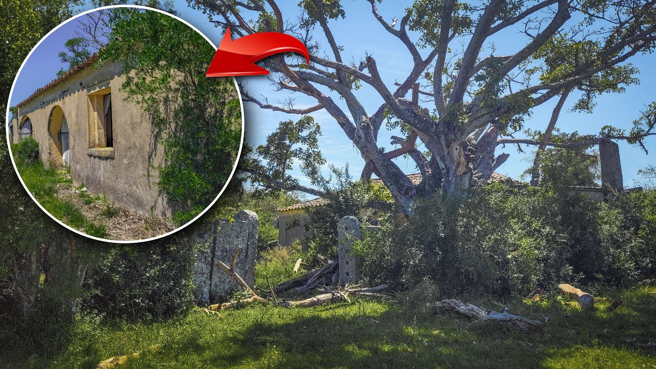 IMENSA FAZENDA DE PEDRA ABANDONADA HÁ MAIS DE 60 ANOS!