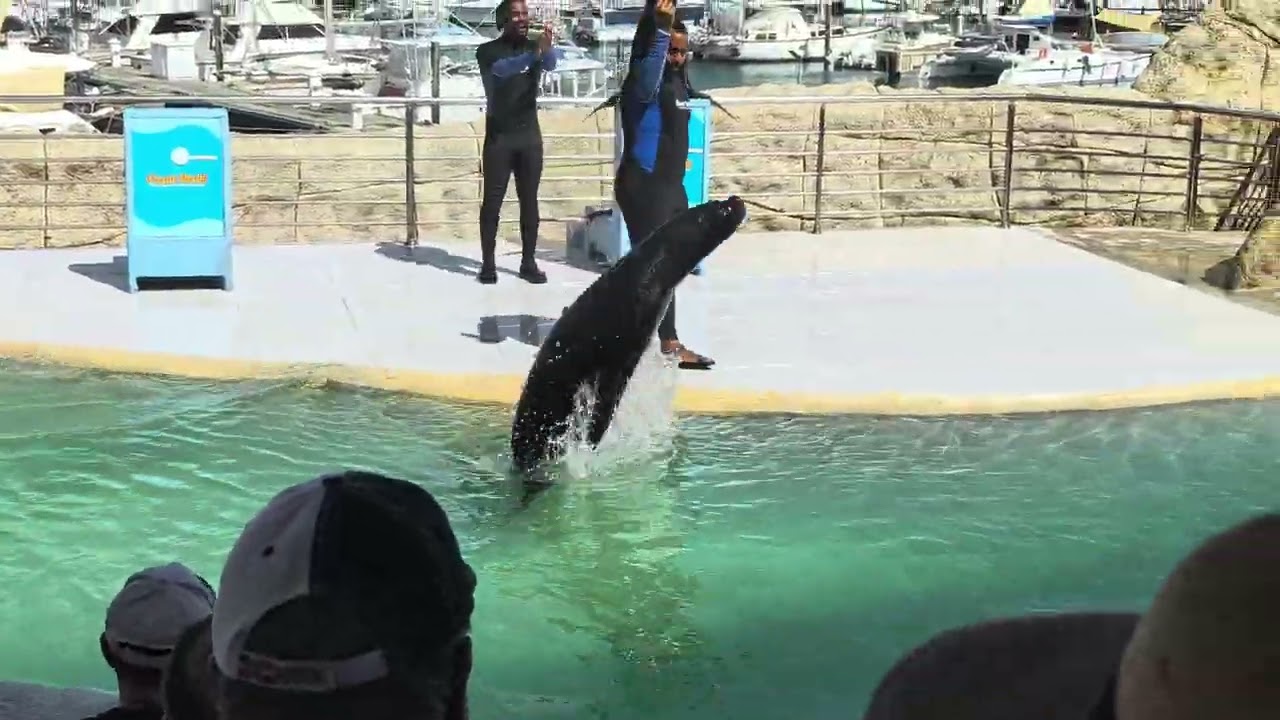 Ocean World Adventure Park - Amber Cove - 1/21/2026