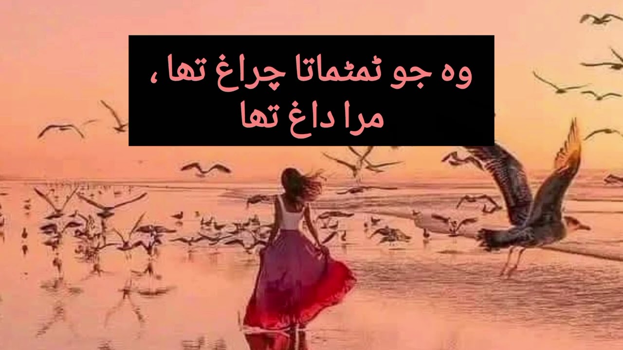Hindi sad shayari || Rahat indori love Shayari || Love shayari status 