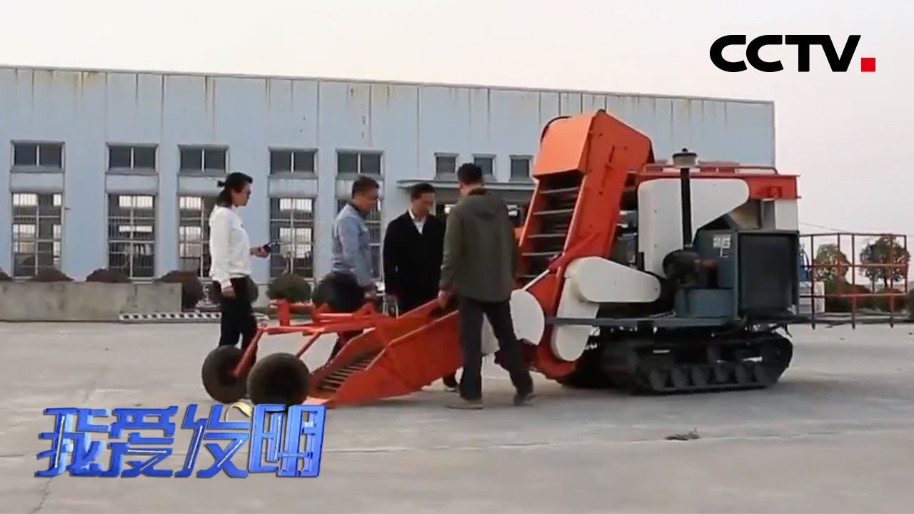 《我爱发明》“甘薯双雄”让收获如此简单 20200201 | CCTV农业