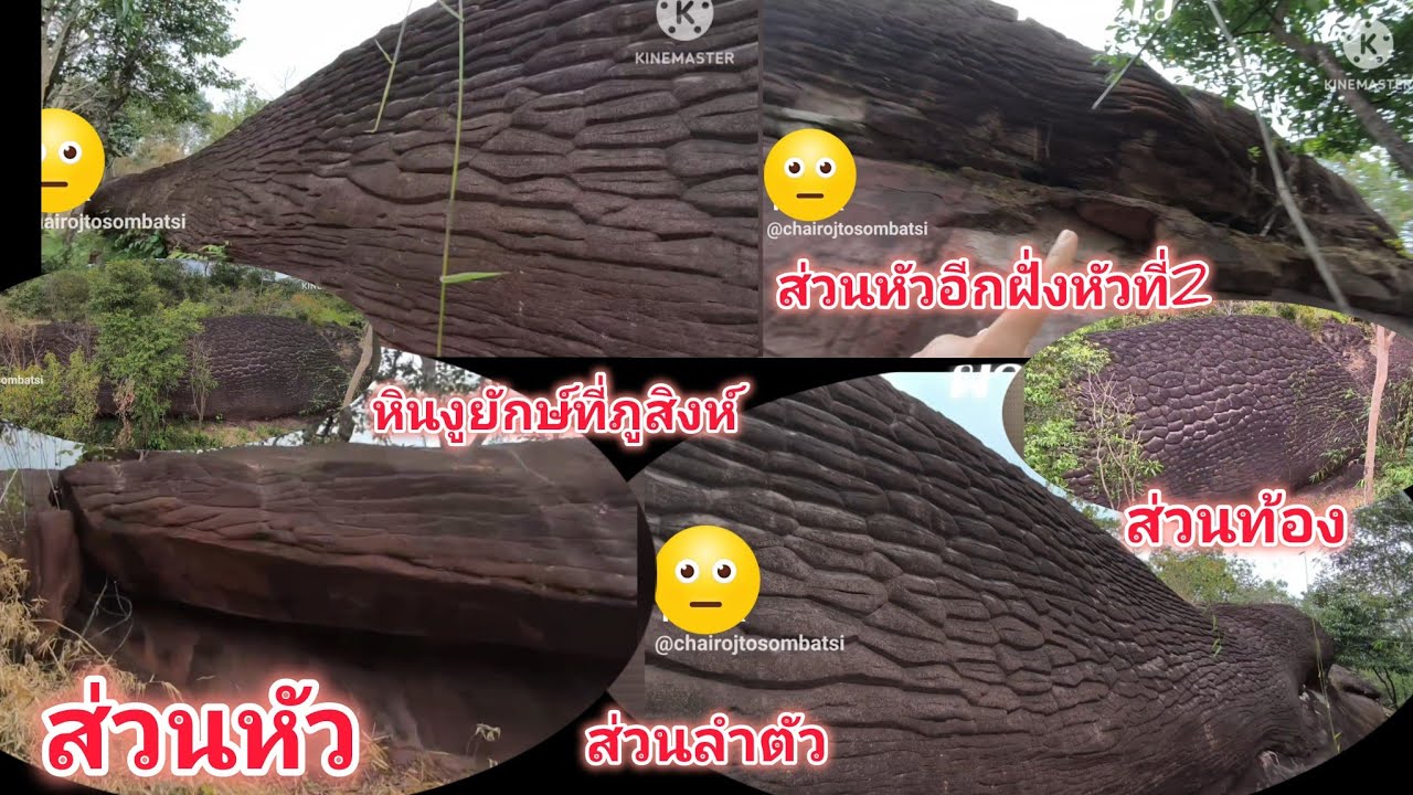 😱ตะลึงหินงูยักษ์ที่ภูสิงห์#วัดถ้ำผาขาว อ.ศรีสิไล จ.บึงกาฬ