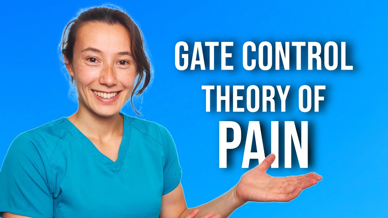 Gate Control Theory of Pain EXPLAINED by a Physical Therapist | Gate Theory
