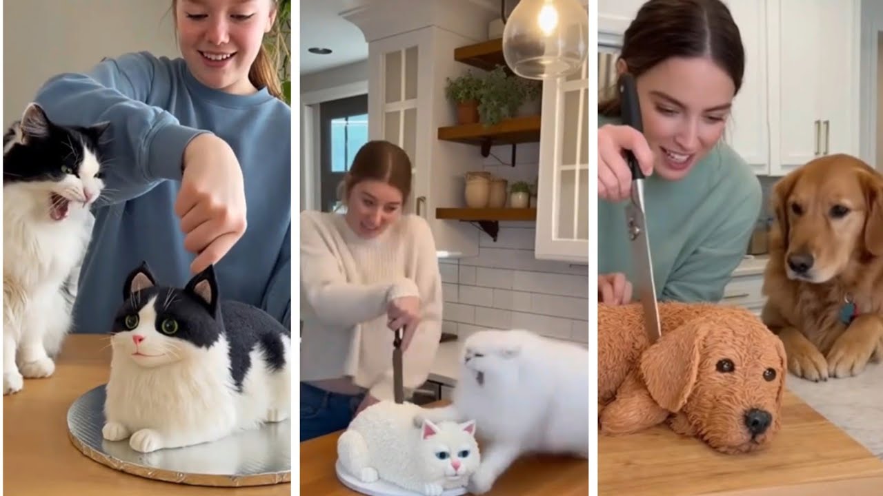 Cats and Dogs React to Cake Cutting 😺🐶 | Funny Pet Reactions Compilation 😂