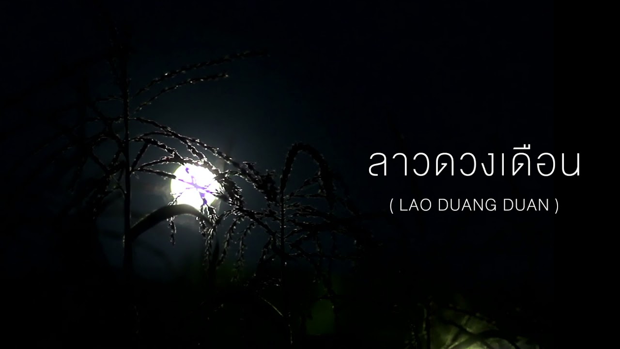 ลาวดวงเดือน (ซออู้) | ASMR w/ Noise of The Night 🌙 | NARIS