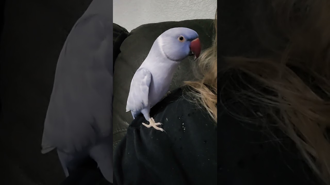 У нас был настоящий праздник «Веселой птички»!