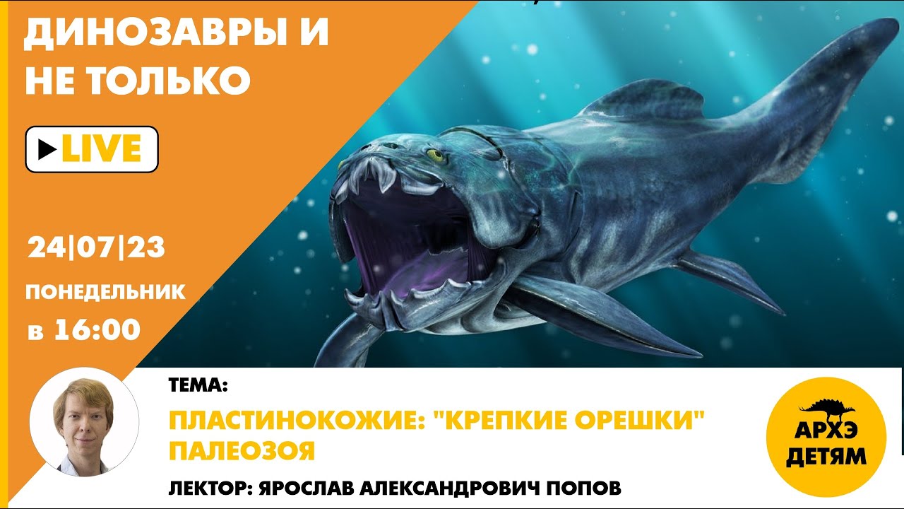 Занятие 
