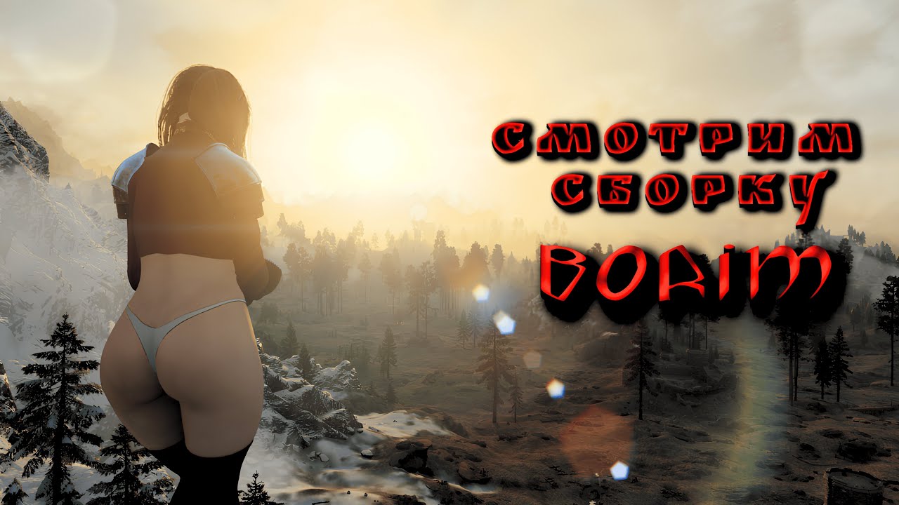 Смотрим Сборку Borim
