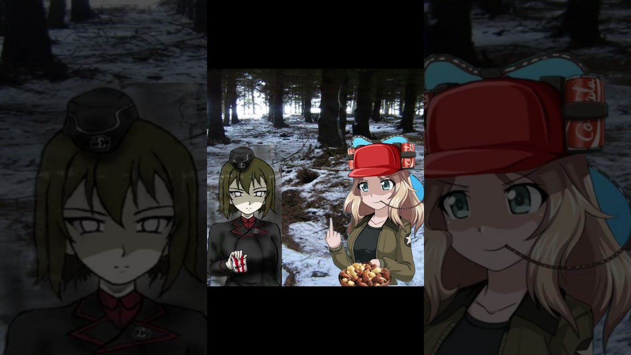 Girls Und Panzer Memes With Sabaton Songs