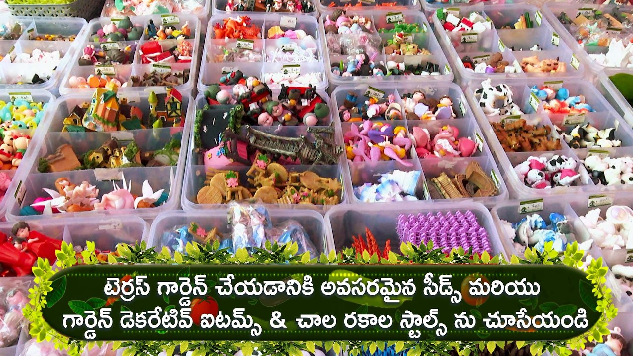 టెర్రస్ గార్డెన్ చేయడానికి అవసరమైన సీడ్స్ మరియు గార్డెన్ డెకరేటివ్ ఐటమ్స్  చూసేయండి | Perati Ruchulu