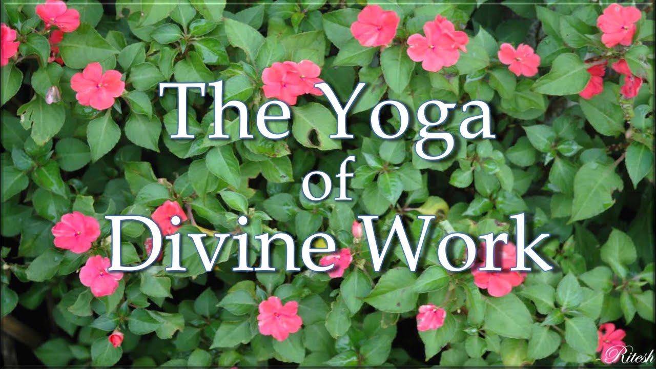 The Yoga of Divine Works  |  TE 511