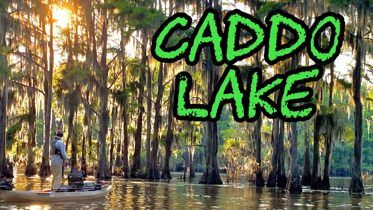 CADDO LAKE KAYAK FISHING