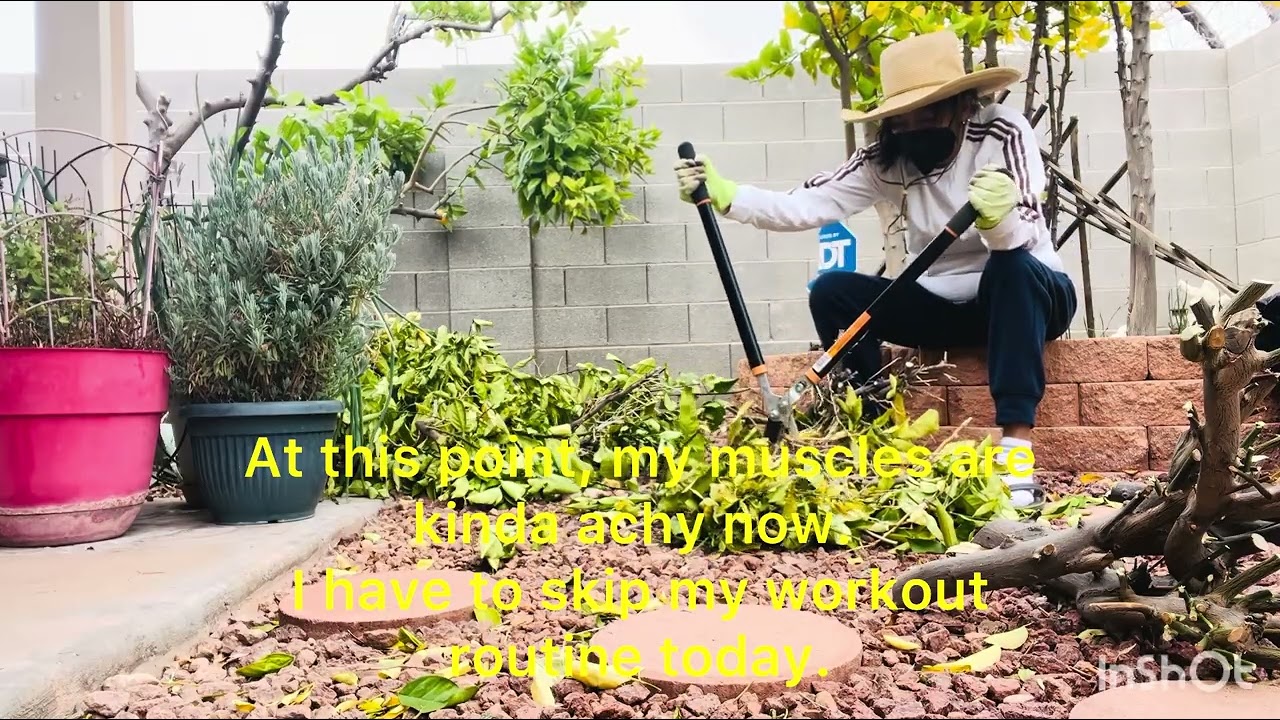 Pruning my Citrus Trees to prepare for Spring. Just thinking out loud to forget this task.