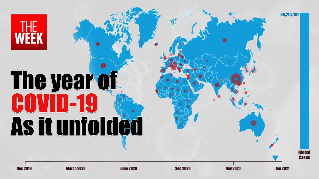 COVID 19 Timeline: How it conquered the world