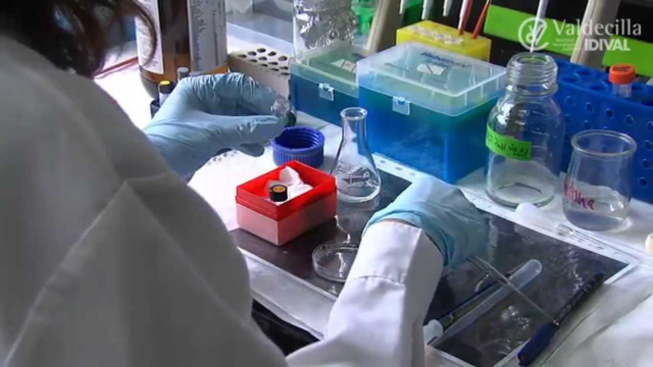 Grupo de Investigación de Apoptosis