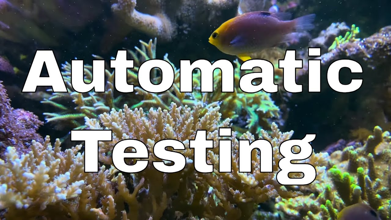 Обзор ReefBot Lab + Каковы мои параметры?