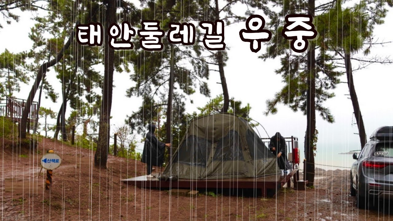 가을감성 우중캠핑☂️바다뷰 인기캠핑장에서 빗소리 튀김소리는 못참아❗️명당사이트 추천🐶애견동반캠핑ㅣ태안 둘레길